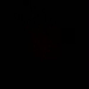 Meet your Posher, Dominic